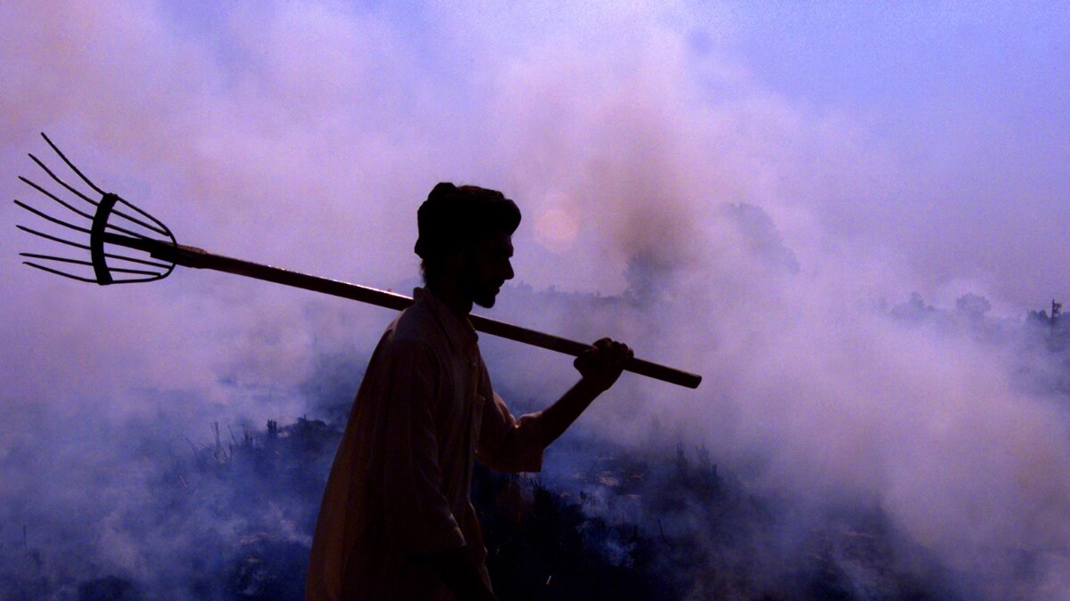 Greenhouse Gas Emissions from Stubble Burning Shot Up by 75% Over The Last Decade: New Study - Vimarsana News