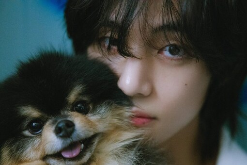 BTS singer Taehyung opened up about his dog's heart condition. 