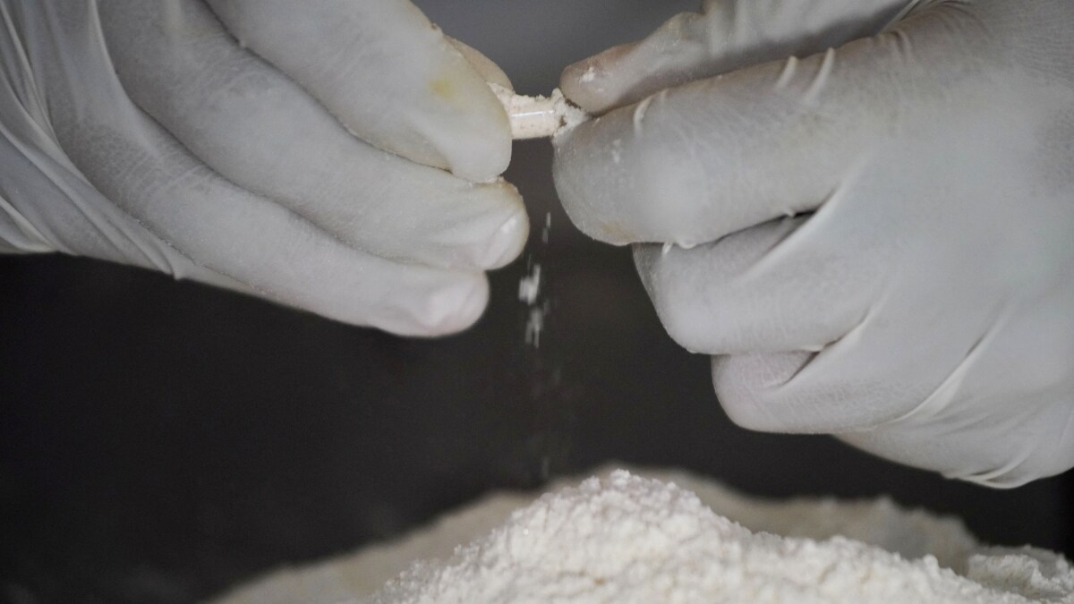 UN: Opiates Once Dominated Afghan Drugs Market, Now Trade of This New Drug is Skyrocketing - Vimarsana News