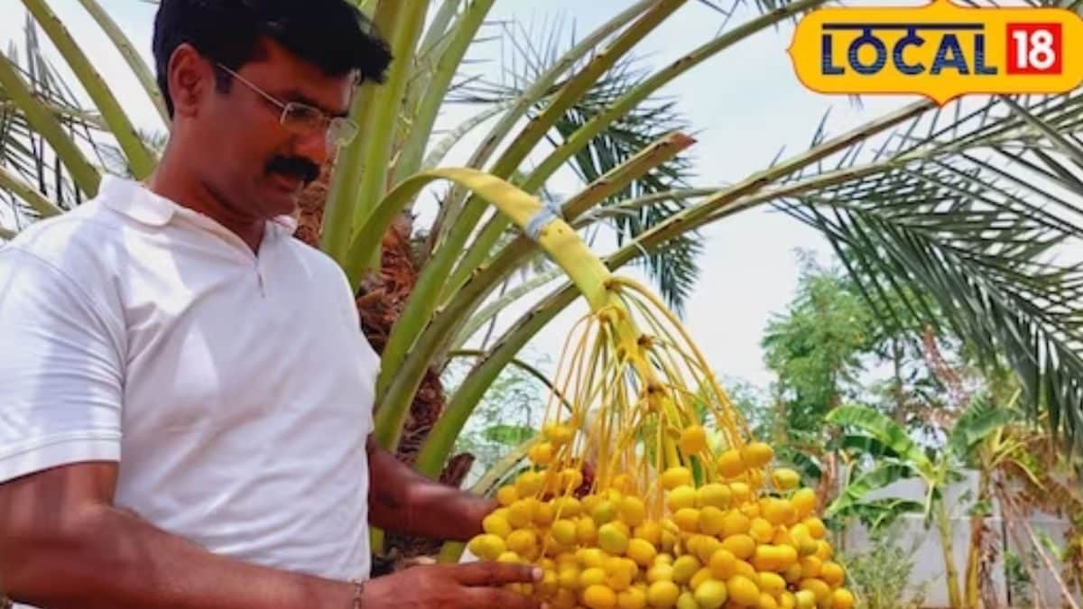 This Tamil Nadu Farmer Earns Up To Rs 2 Lakh In Date Cultivation - News18