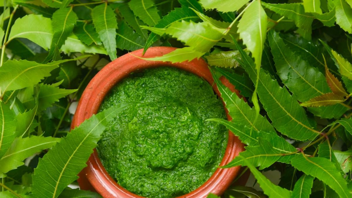 From Improving Gut Health To Reducing Blood Sugar Level, 4 Benefits Of Neem – News18