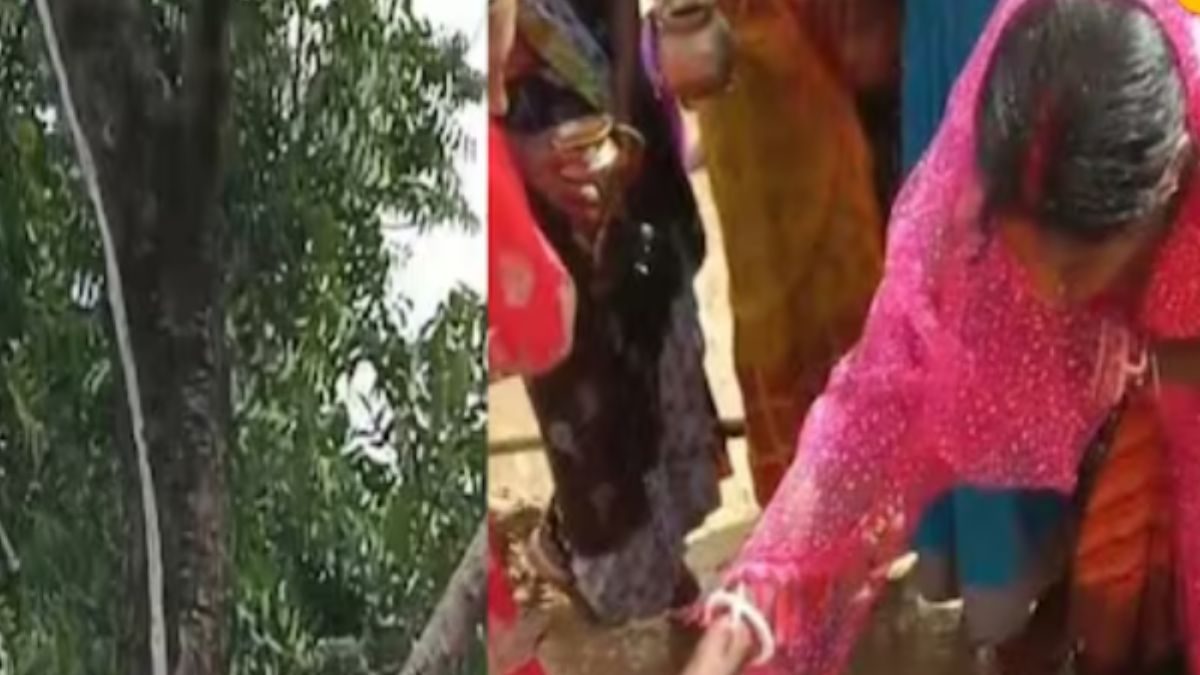 In Jharkhand Village, Woman’s Dream Comes True As Milk Gushes Out Of Neem Tree – News18