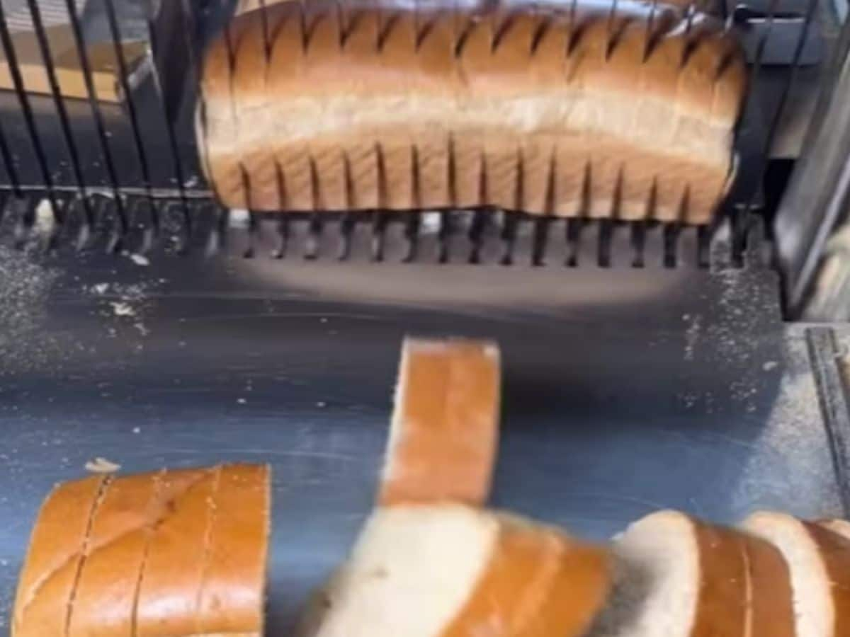 Compactable Bread Slicer for Homemade Bread - 3 India