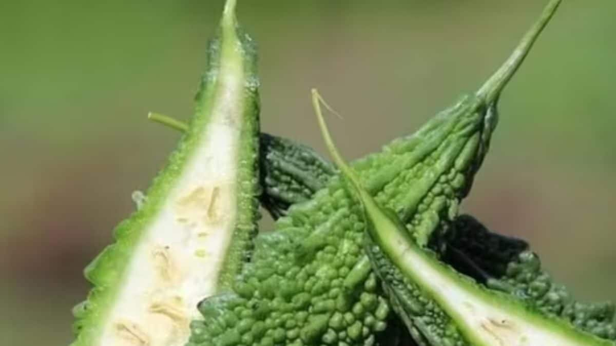 Fighting Cancer To Control Blood Sugar Levels, 5 Health Benefits Of Bitter Gourd