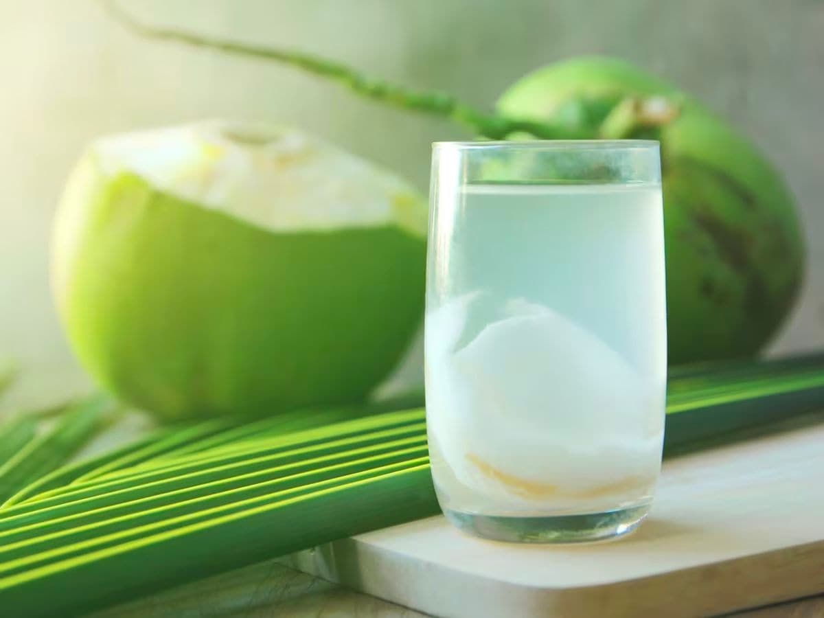 Does Coconut Water Increase Platelet Count In A Dengue Patient? What We Know - News18