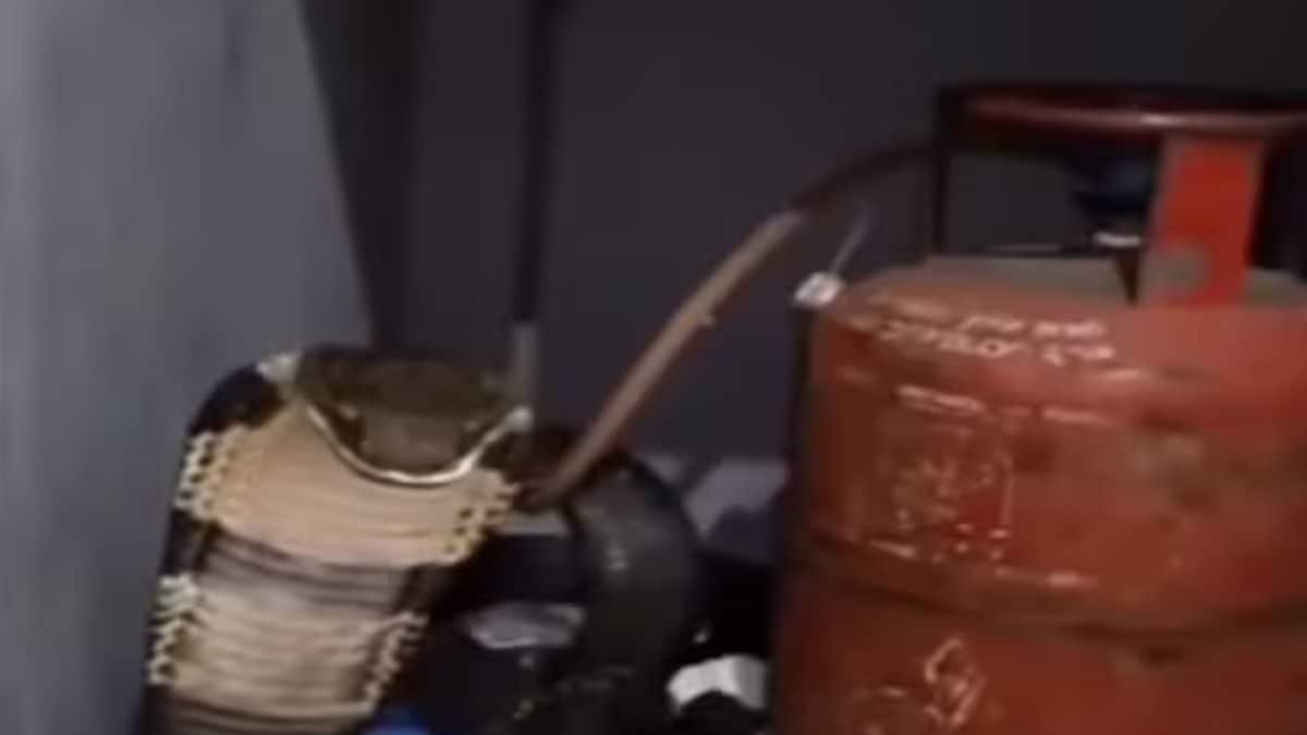 Watch: Woman Finds a Huge Cobra Hidden Behind a Gas Cylinder