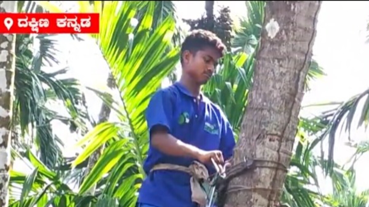 This Keralabased Startup Helps Kannada Farmers Pluck Coconut From