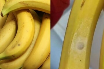 This Post is Bananas (B-A-N-A-N-A-S)