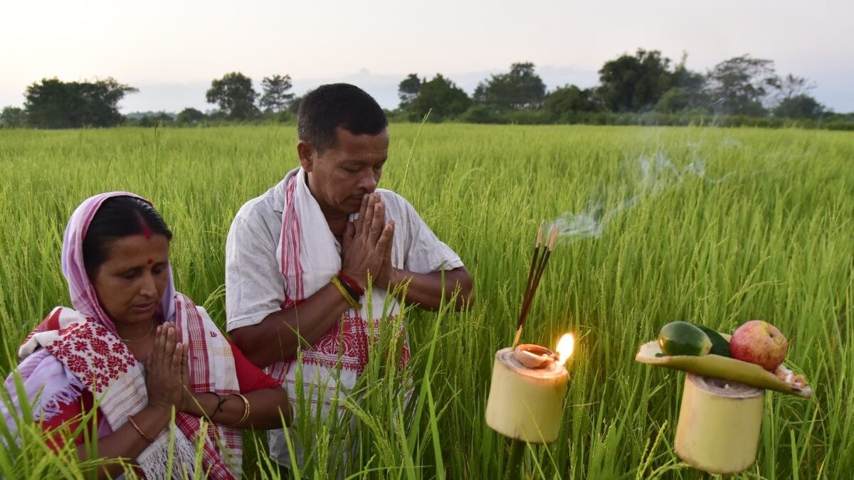 Kati Bihu 2023: Wishes, Messages, and How the Harvest Festival is ...