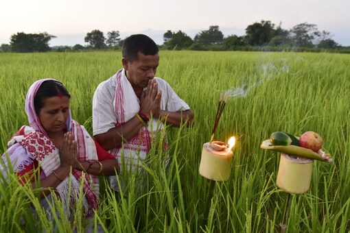 Kati Bihu 2023: Wishes, Messages, And How The Harvest Festival Is 