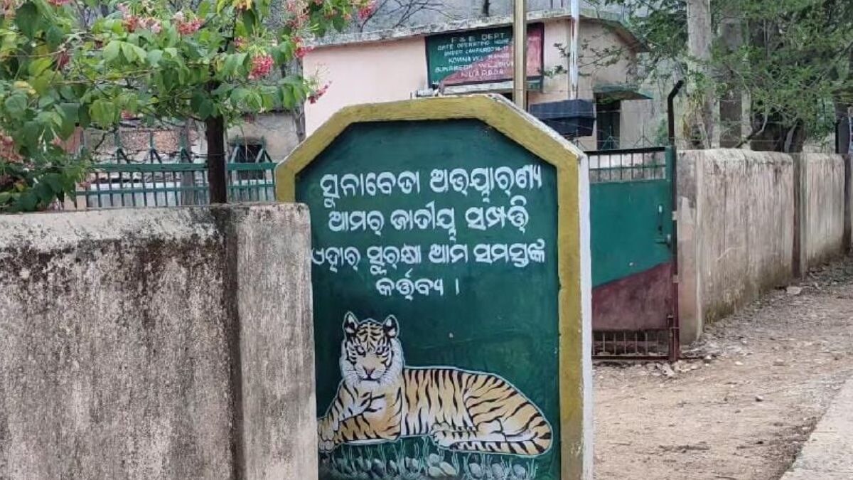 Odisha: 8-Year-Old Boy Killed In Leopard Attack While Playing In Front Of House – News18 Odisha: 8-Year-Old Boy Killed In Leopard Attack While Playing In Front Of House – News18