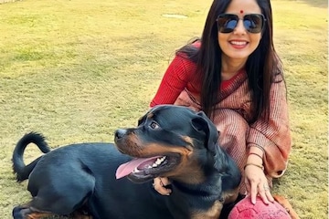 How are Dogs Registered in India? Explained Amid Mahua Moitra's Rottweiler  Custody Row - News18