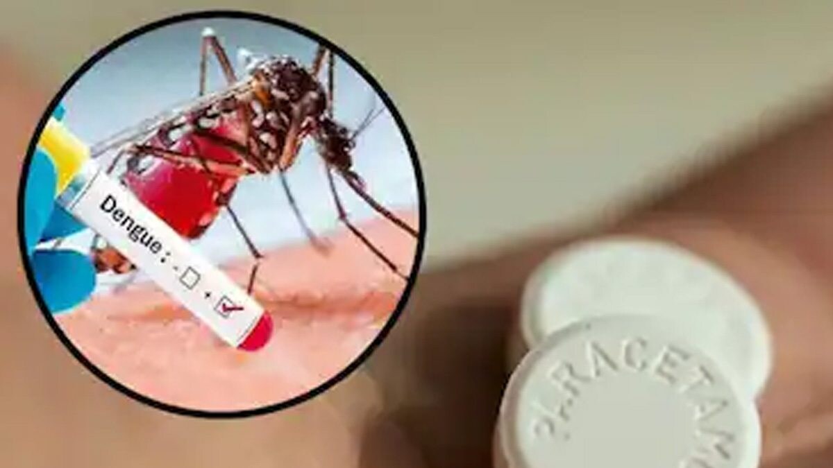 Liver Damage To Anaemia, Side Effects Of Too Much Paracetamol On Dengue ...