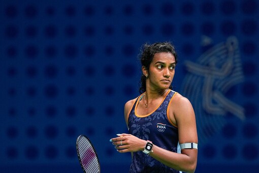 PV Sindhu Bows Out in Quarterfinals at Asian Games (PTI Image)