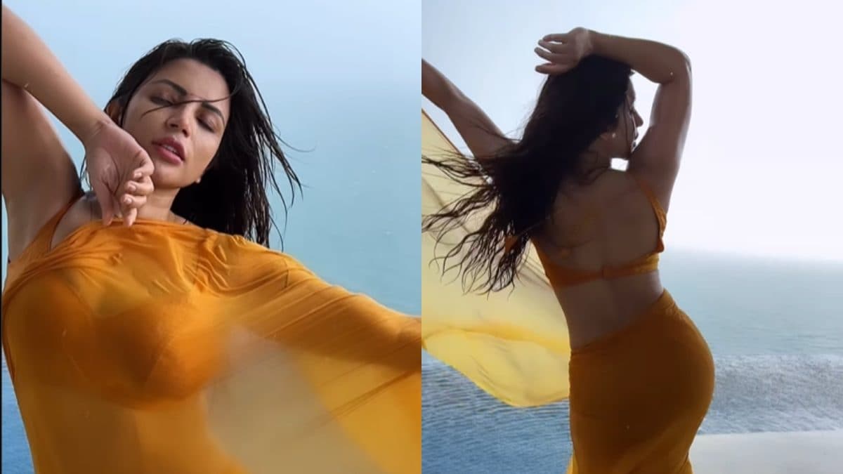 Sexy! Shama Sikander Dances In The Rain In A Chiffon Saree, Hot Video Goes  Viral; Watch - News18