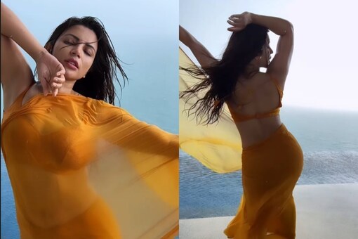 Sexy Shama Sikander Dances In The Rain In A Chiffon Saree Hot Video Goes Viral Watch News18 5656