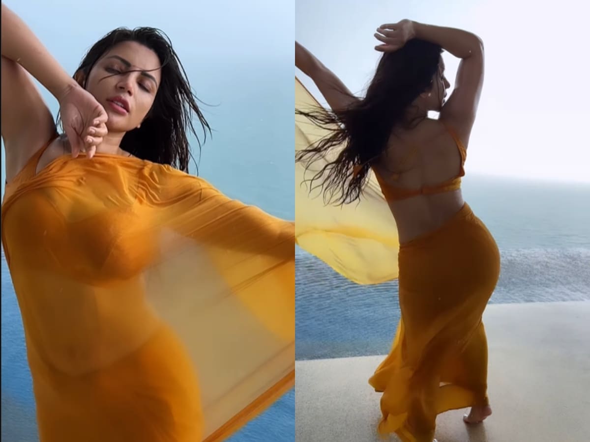 Sexy! Shama Sikander Dances In The Rain In A Chiffon Saree, Hot Video Goes  Viral; Watch - News18