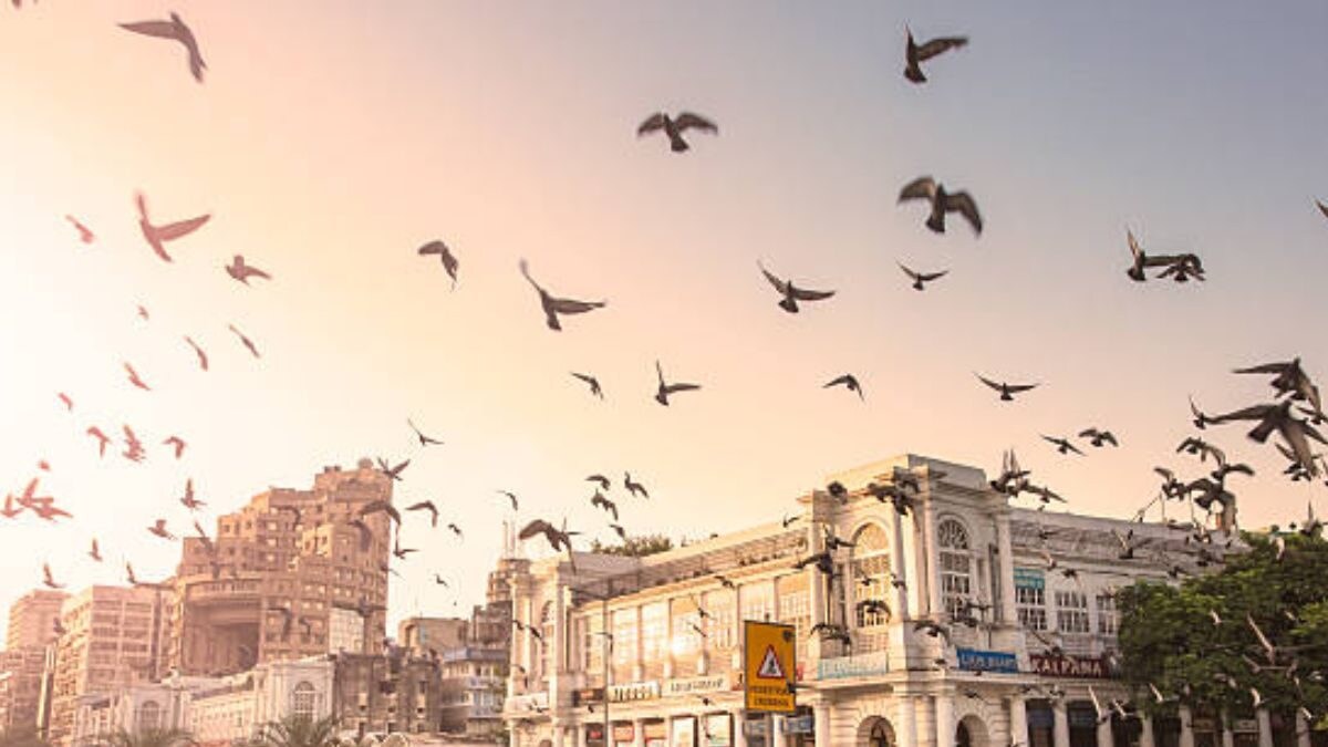 'Delhi is Love': Woman's Appreciation Post for National Capital Gets Thumbs Up From 'Dilliwale' - Vimarsana News