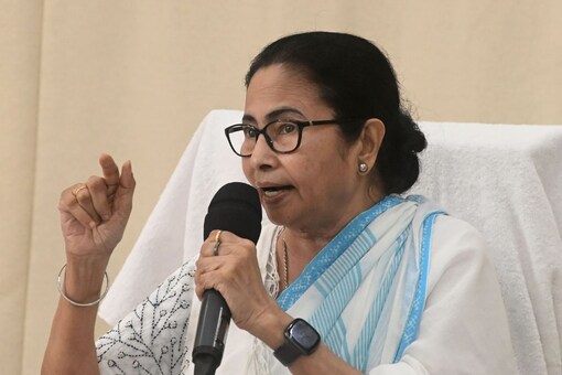 West Bengal CM Mamata Banerjee. (Image: PTI/File)