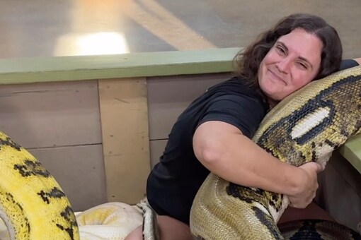'Oh My God,' Says Internet As Woman Cuddles With Pythons In This Viral ...