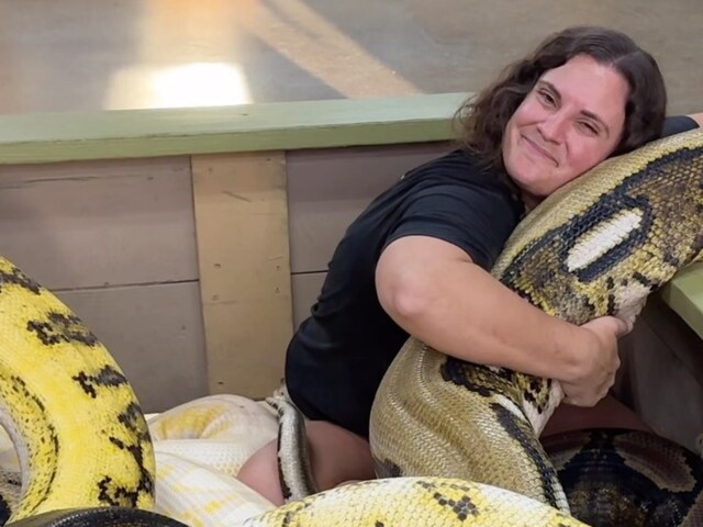 'Oh My God,' Says Internet As Woman Cuddles With Pythons In This Viral ...