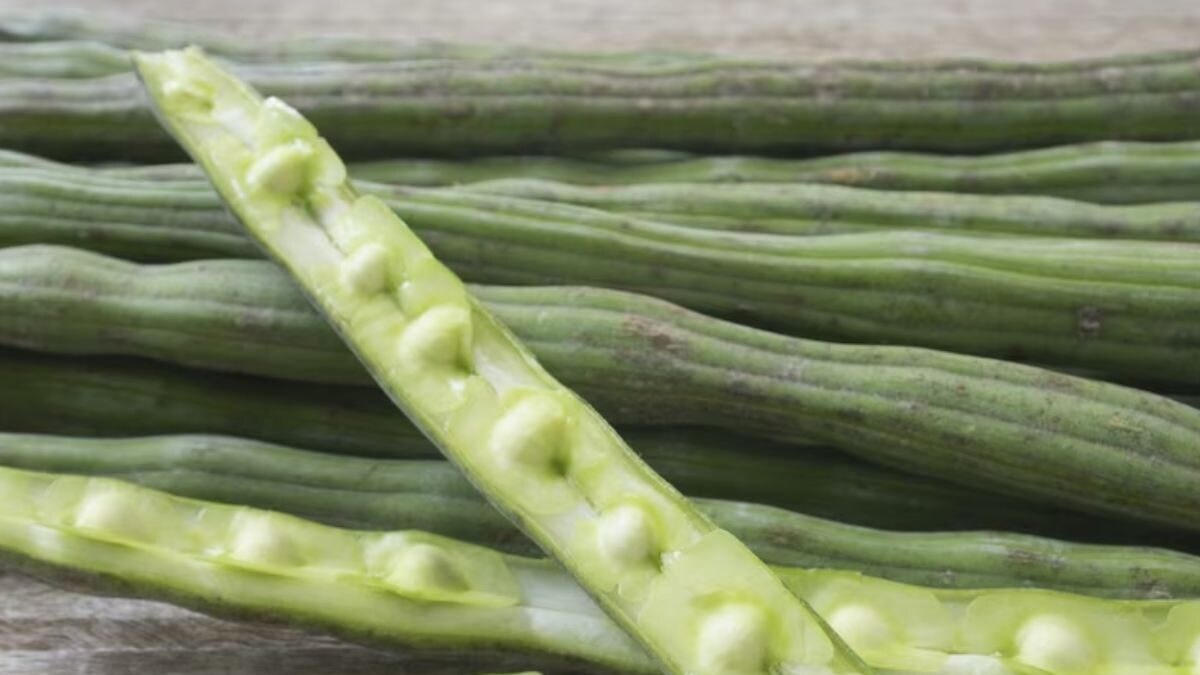 How Drumsticks Help Control Type 2 Diabetes News18