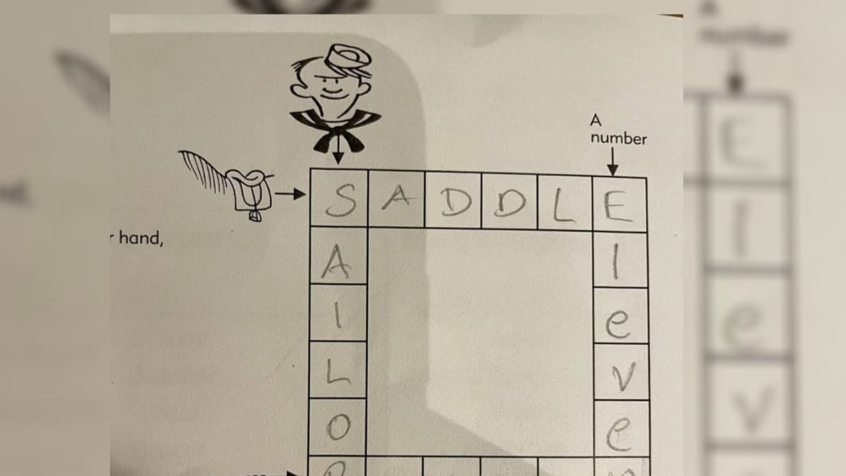 5th-grade crossword has us all stumped : r/mildlyinfuriating