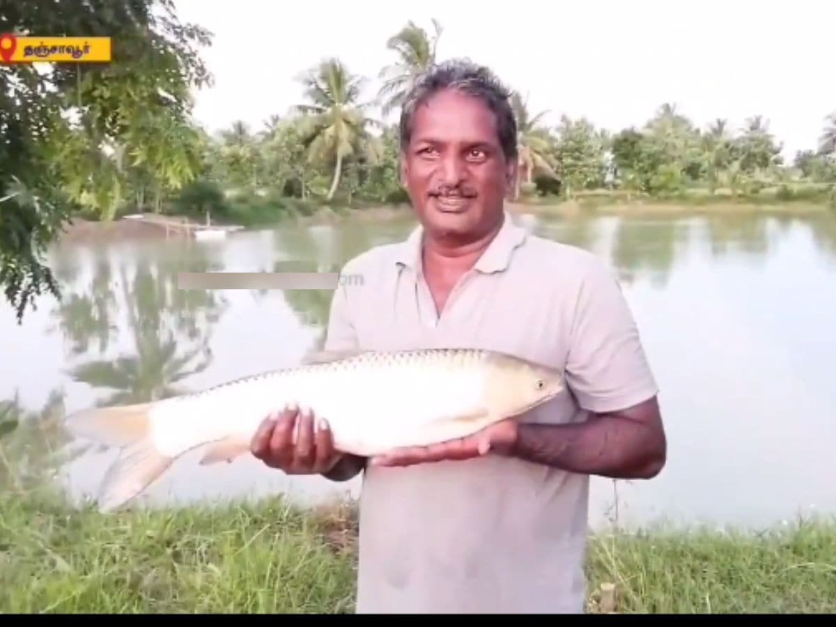 In Tamil Nadu, This Man Does Fish Farming In 24 Ponds Across 16
