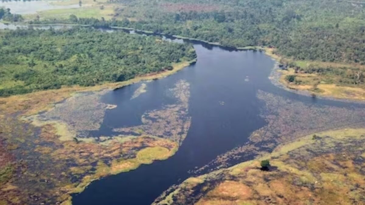 What Makes Congo's Ruki The 'Blackest' River In The World - Vimarsana News