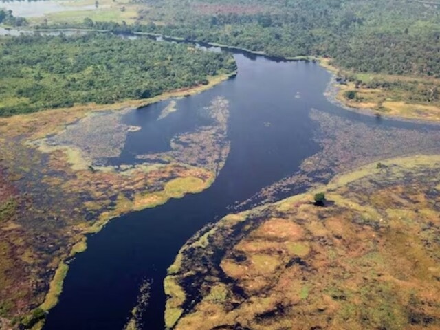 What Makes Congo's Ruki The 'Blackest' River In The World - News18