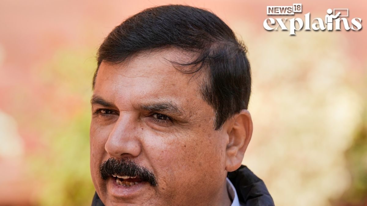 Delhi Excise Policy ‘Scam’: Sanjay Singh Arrested; Know What ED Chargesheet Says About AAP MP | Explained – News18