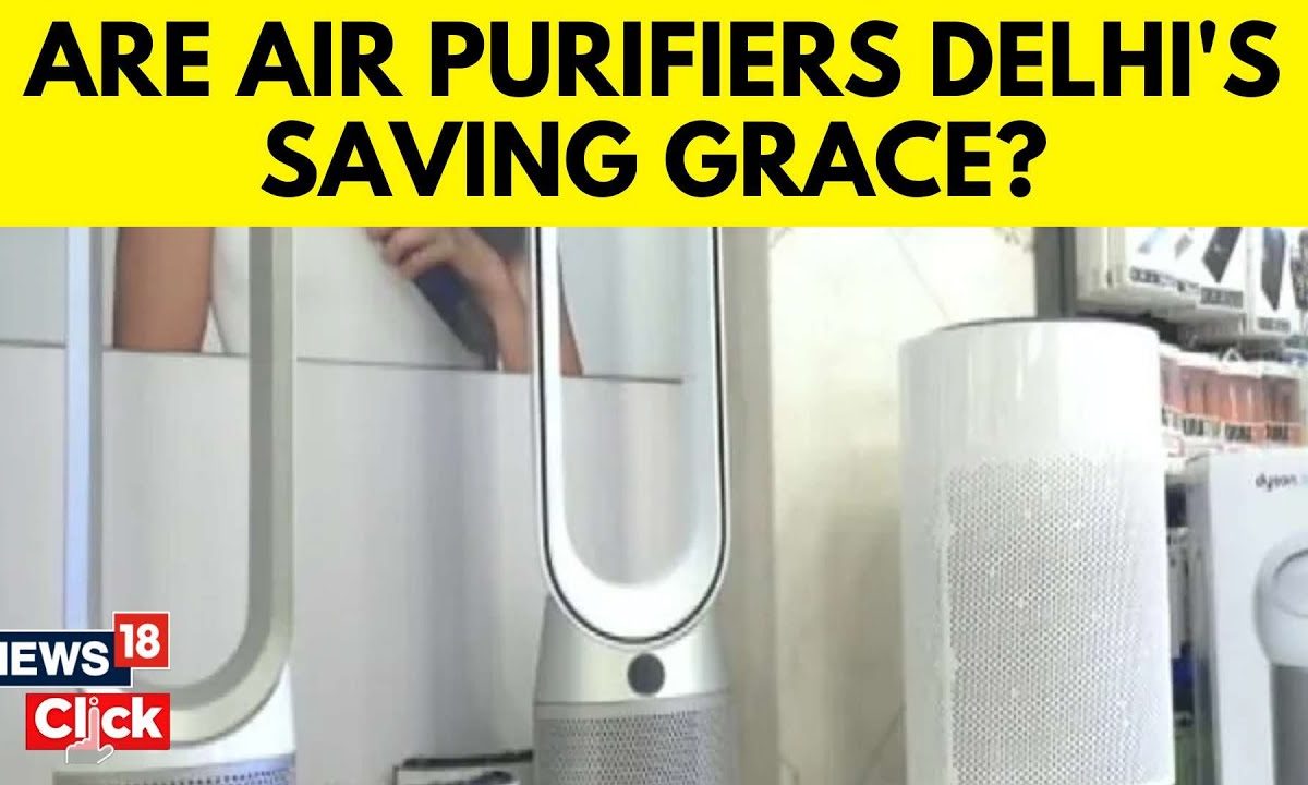 Delhi Air Pollution Are Air Purifiers Delhi's Saving Grace? Delhi