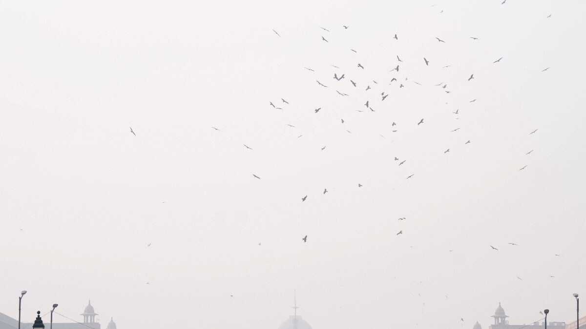 Anand Vihar AQI Hits 999, Again. After Marginal Relief, Delhi Continues To Breathe Poison – News18 Anand Vihar AQI Hits 999, Again. After Marginal Relief, Delhi Continues To Breathe Poison – News18