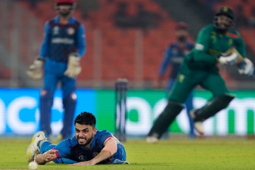ICC Cricket World Cup 2023: South Africa beat Afghanistan by 5 wickets (AP)