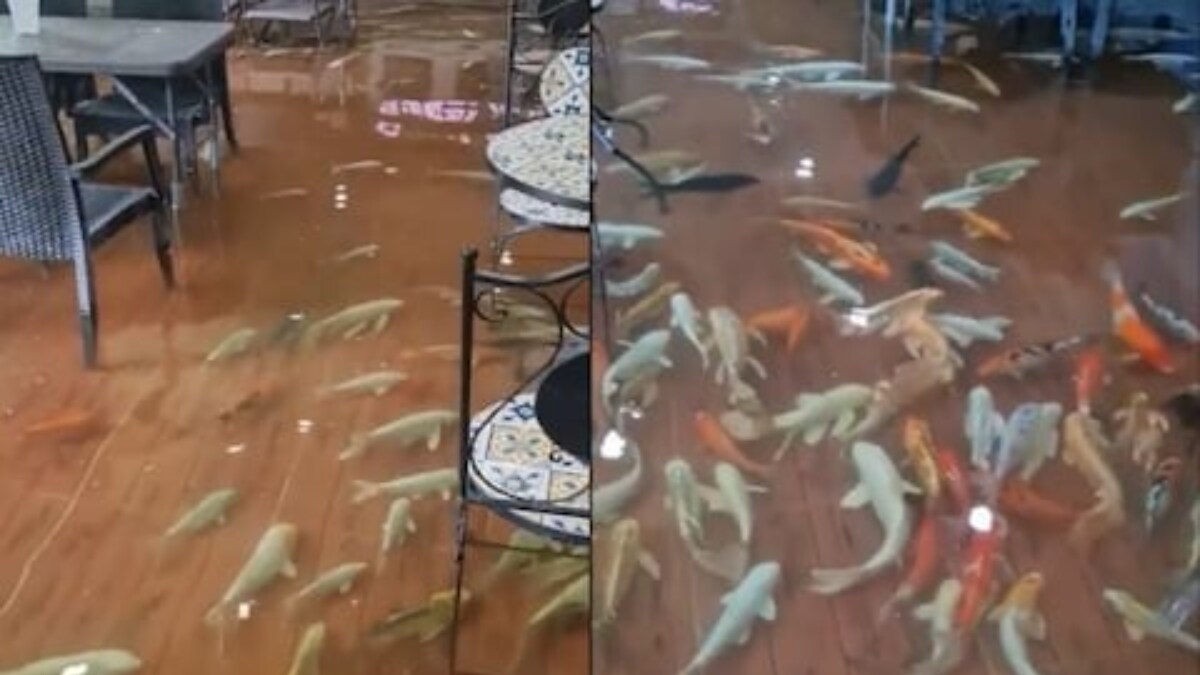 This Now-defunct Thailand Cafe Allowed Eating In Ankle-deep Water With Fish Swimming Around - Vimarsana News