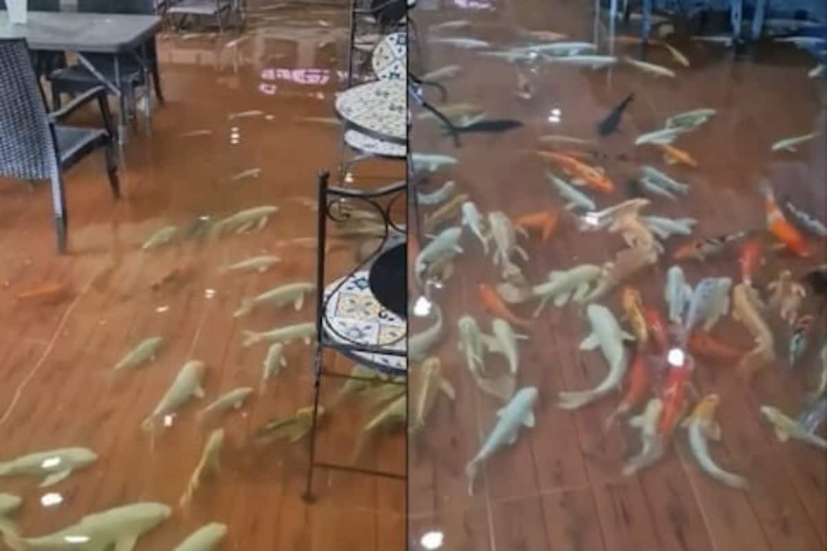 This Now-defunct Thailand Cafe Allowed Eating In Ankle-deep Water With Fish  Swimming Around - News18