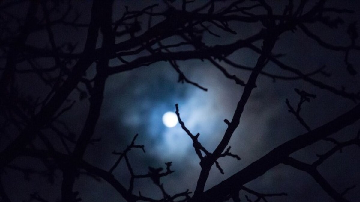 Why Does The Moon Glow At Night? Here's The Truth News18