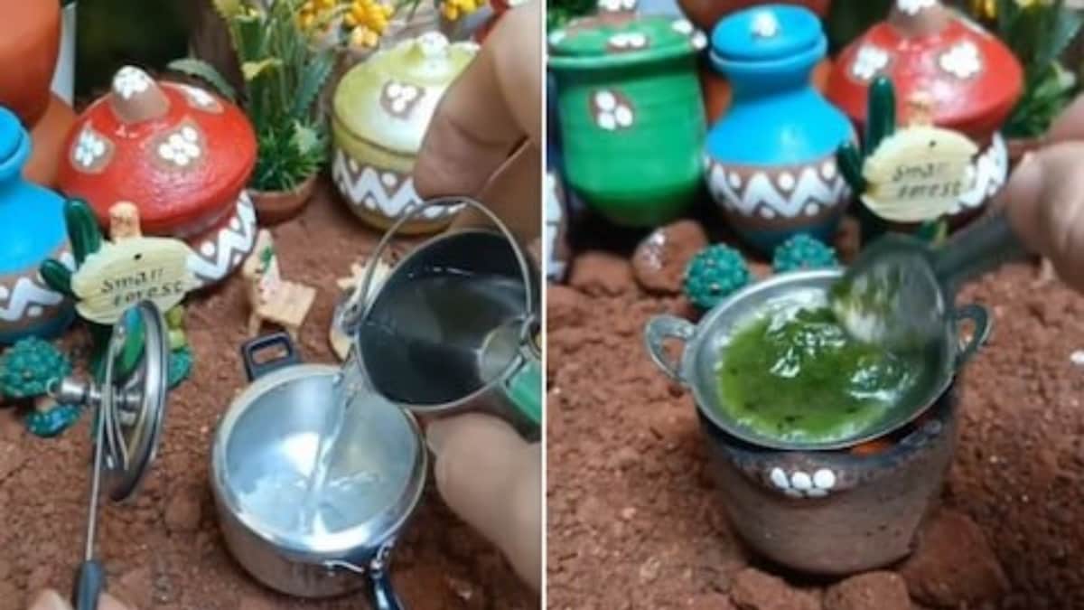 Video Of Man Cooking Rice And Palak Paneer In Miniature Utensils Is The Cutest Thing On Internet – News18