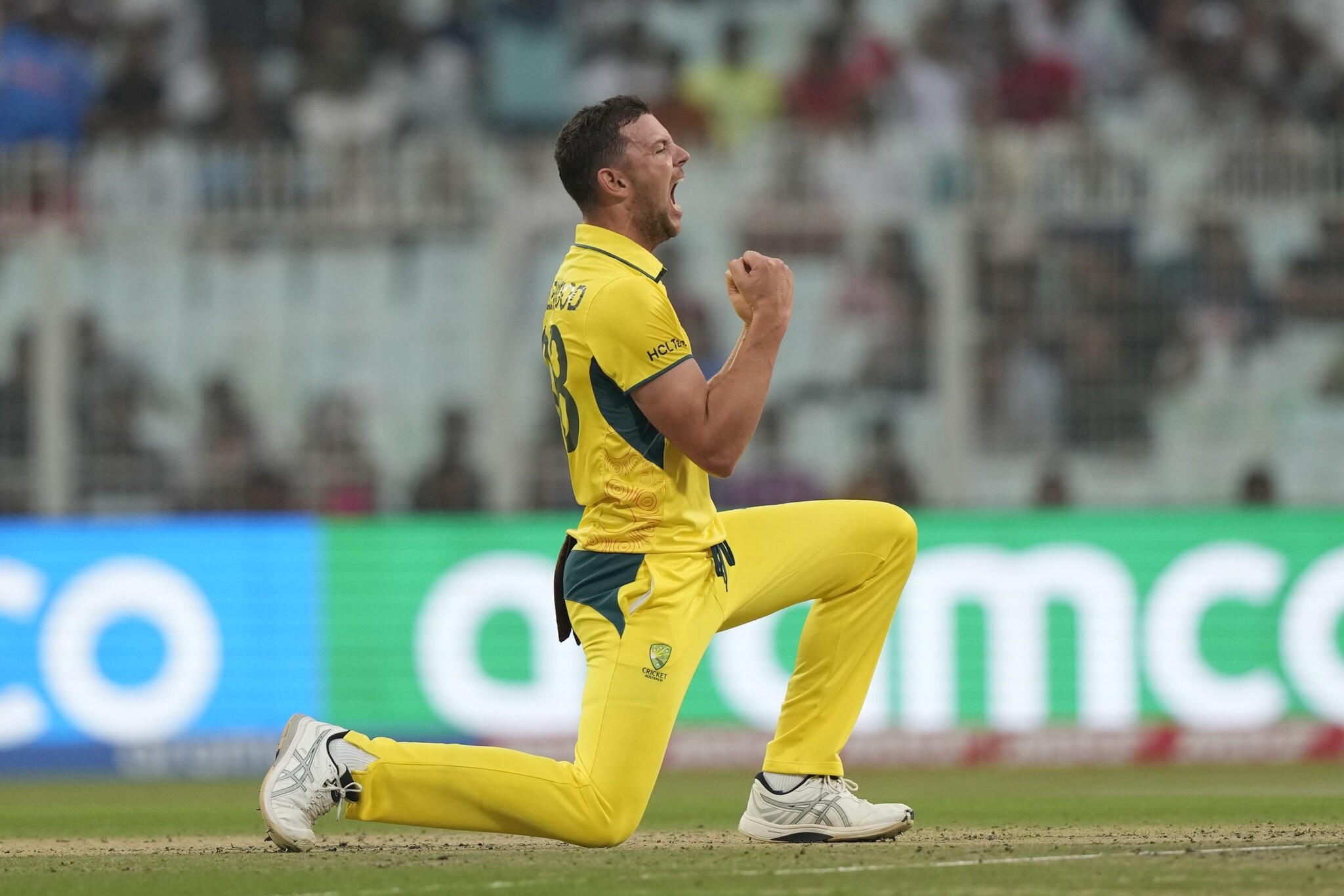 The Shocking Truth: Hazlewood'S Bowling Performance In Aus Vs Sa T20I - 8kj6yuo