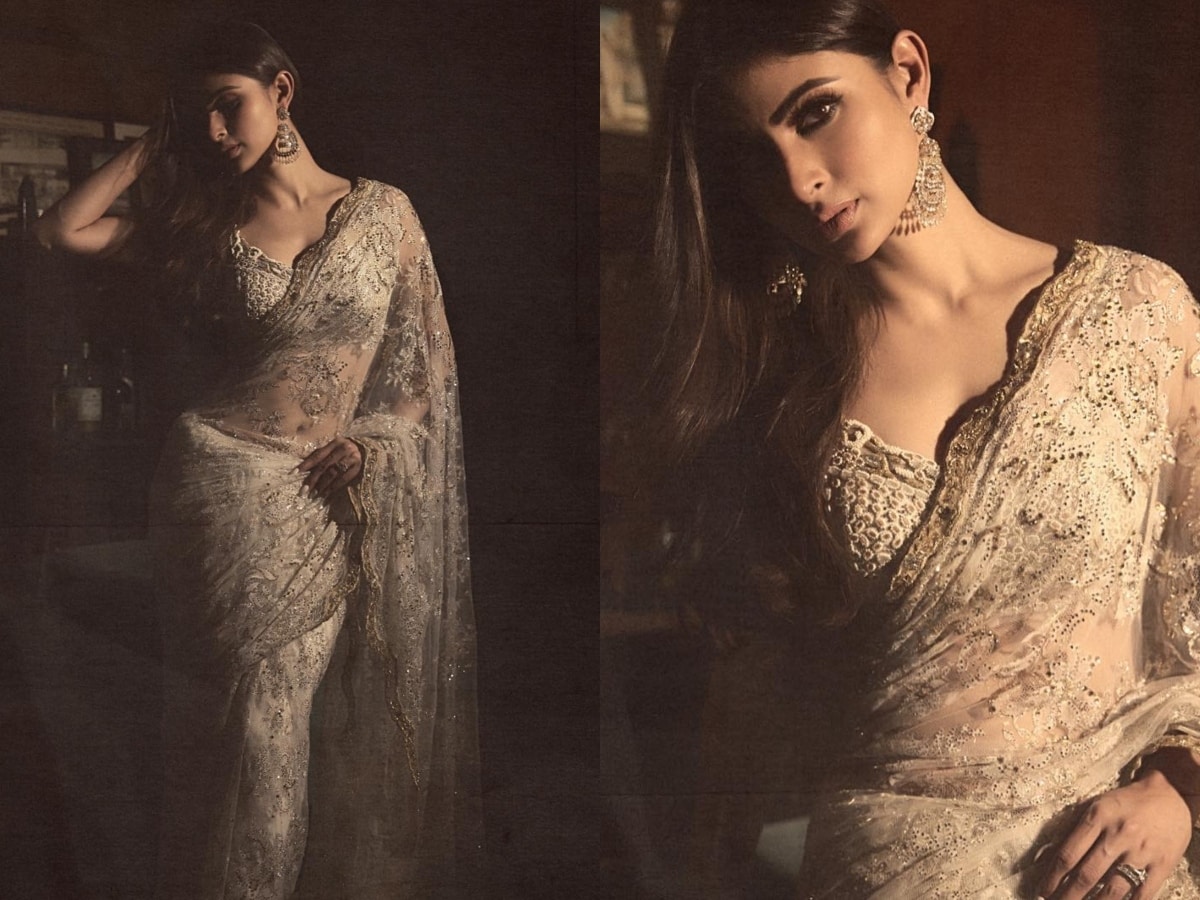 Mouni Roy wore a transparent saree and showed her serpentine style, the  bo*ldness of the actress in photos made the fans intoxicated! - informalnewz