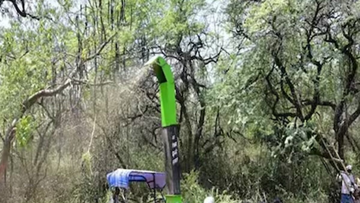Invasive Vilayati Kikar Removal Project Under Scrutiny As Delhi Air Quality Deteriorates Invasive Vilayati Kikar Removal Project Under Scrutiny As Delhi Air Quality Deteriorates