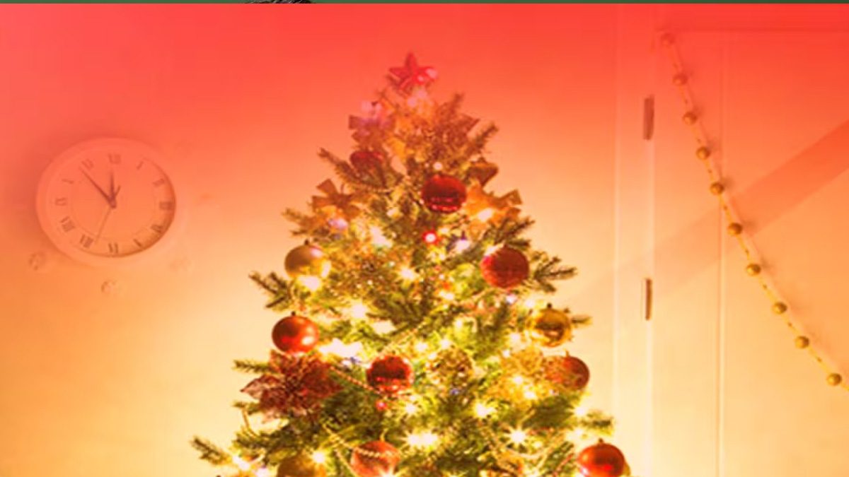 Deck the Halls! Expert Tips for Styling Your Christmas Tree Like a Pro 