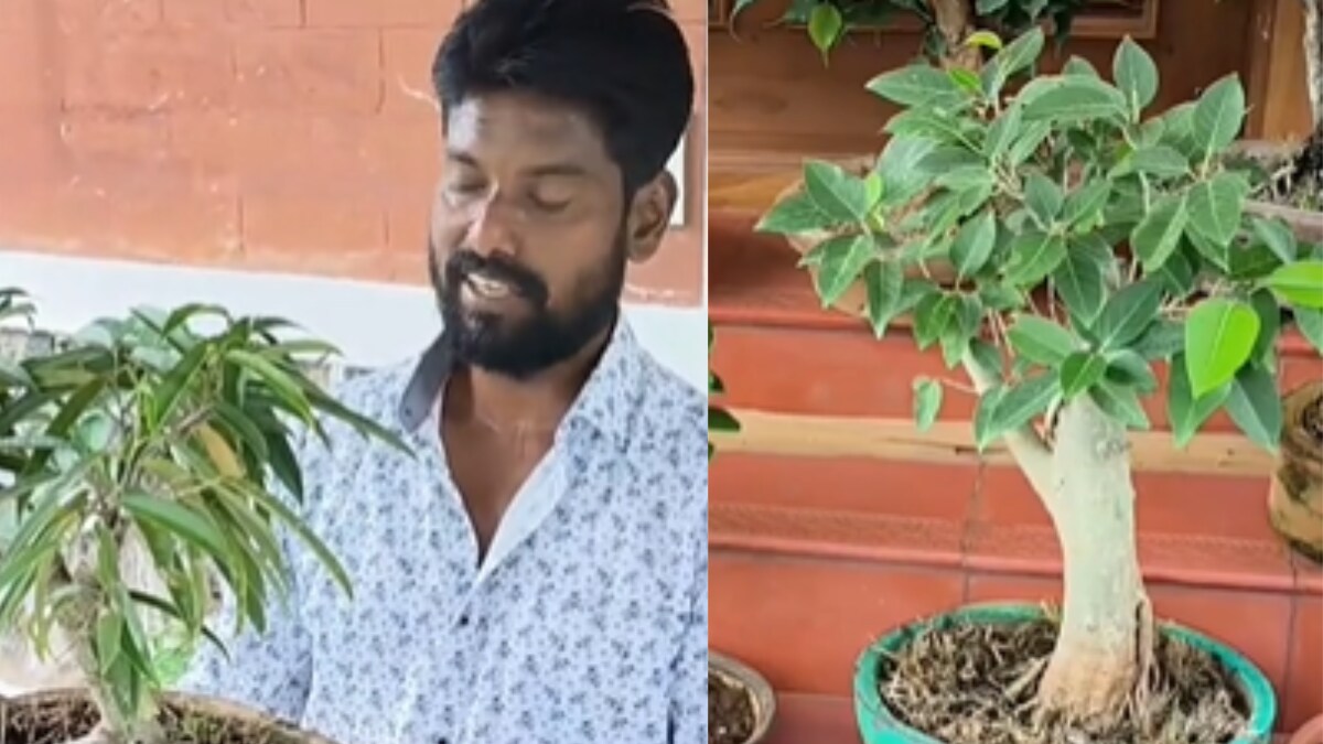 This Tamil Art Teacher’s Unique Bonsai Tree Garden Has Locals