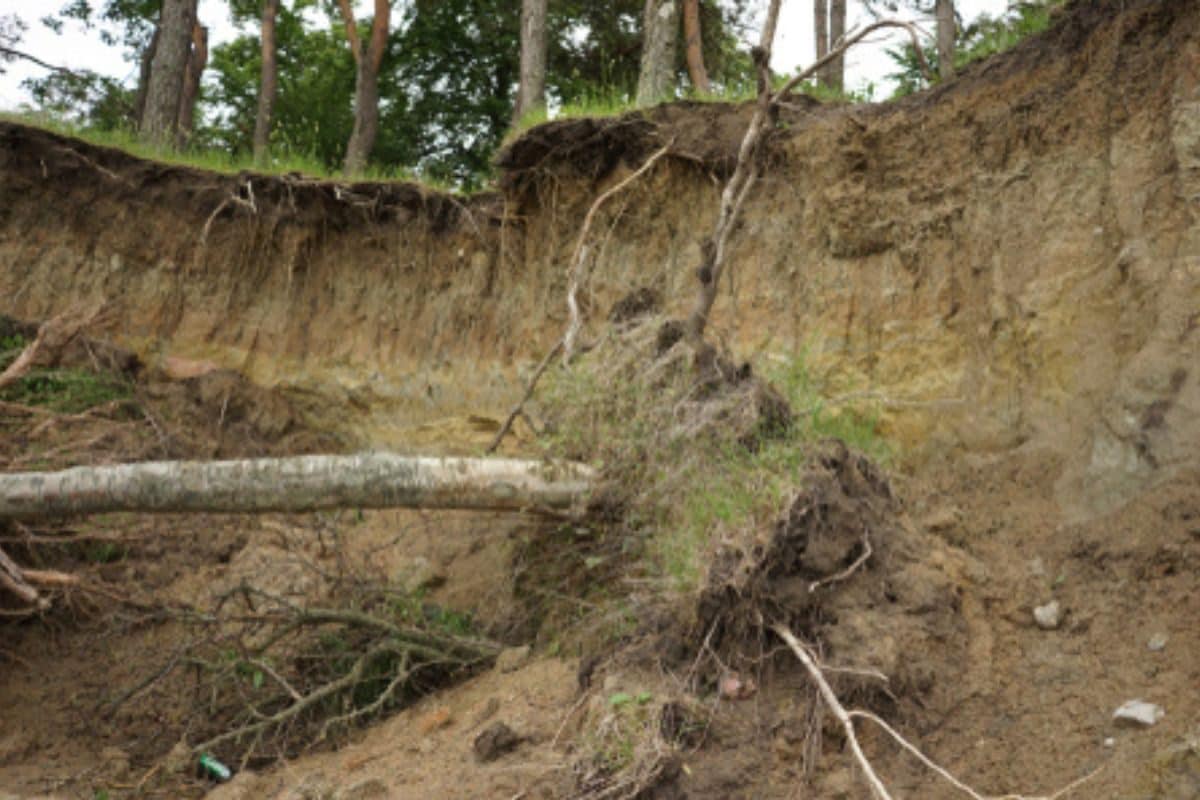 Latest Study Reveals Alarming Rate of Soil Erosion in Western Ghats