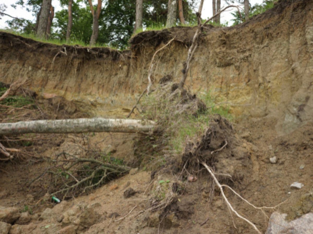 Soil Erosion Soil Erosion The Forgotten Player In The Global Change