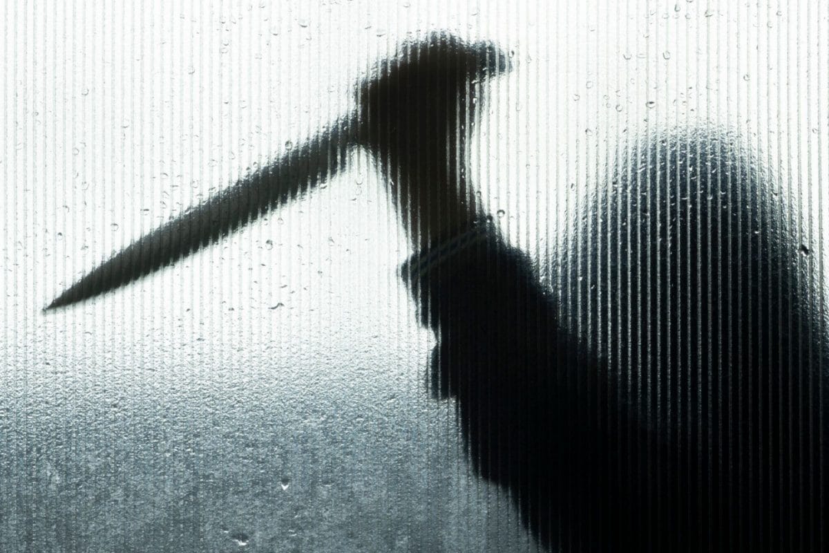 ‘Scene Was Chaos, House on Fire, a Madman on Rampage’: New York Man Fatally Stabs 4 in Family