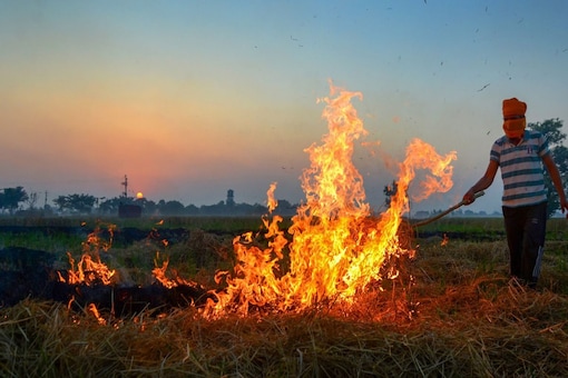 With only a 10-15-day window between the paddy-harvesting season and the wheat-sowing time, farmers feel compelled to burn the stubble to quickly clear the fields. (PTI)