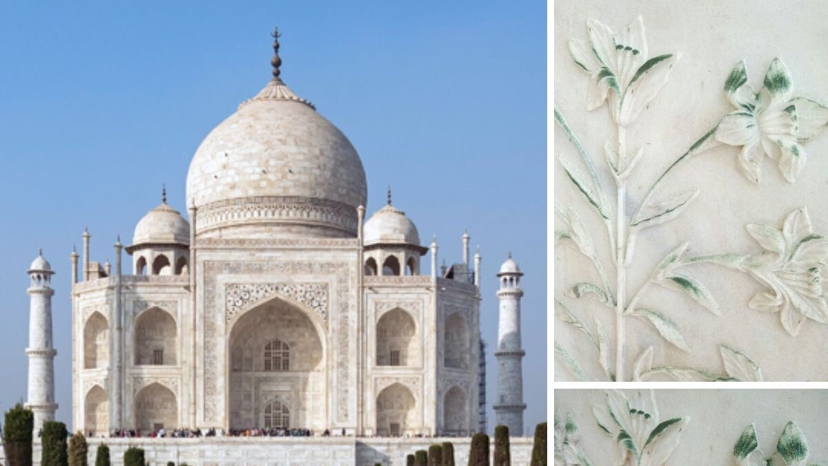 Nah Taj! Insect Poop Turns One of World's Seven Wonders Green; Winter Instance Worries Experts - Vimarsana News