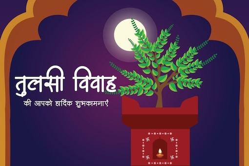 Tulsi Vivah 2023: Celebrate Tulsi Vivah With These Heartfelt Wishes, Messages and WhatsApp Status. (Image: Shutterstock)
