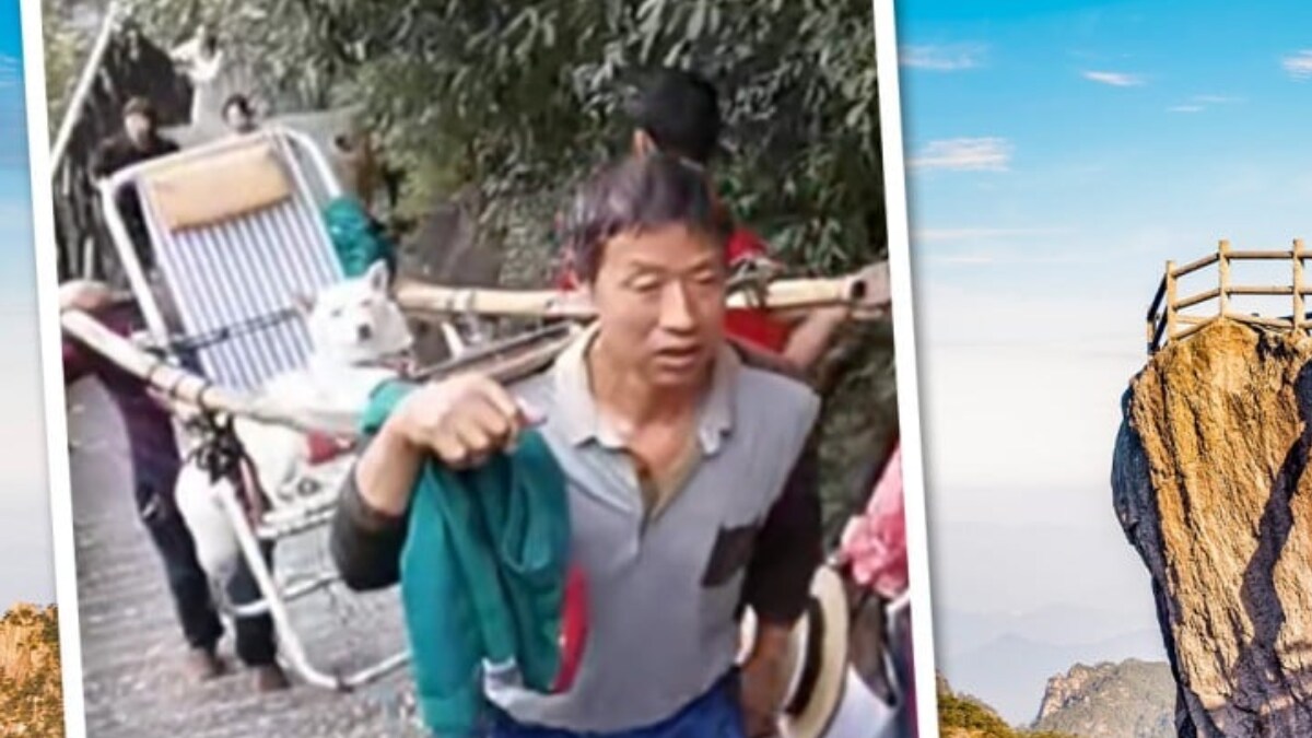 Woman In China Pays Rs 11,000 For Carrying Her Dog To Mountain Top - Vimarsana News
